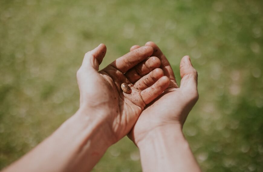 Unlocking Your Potential: The Unexpected Power of “No”