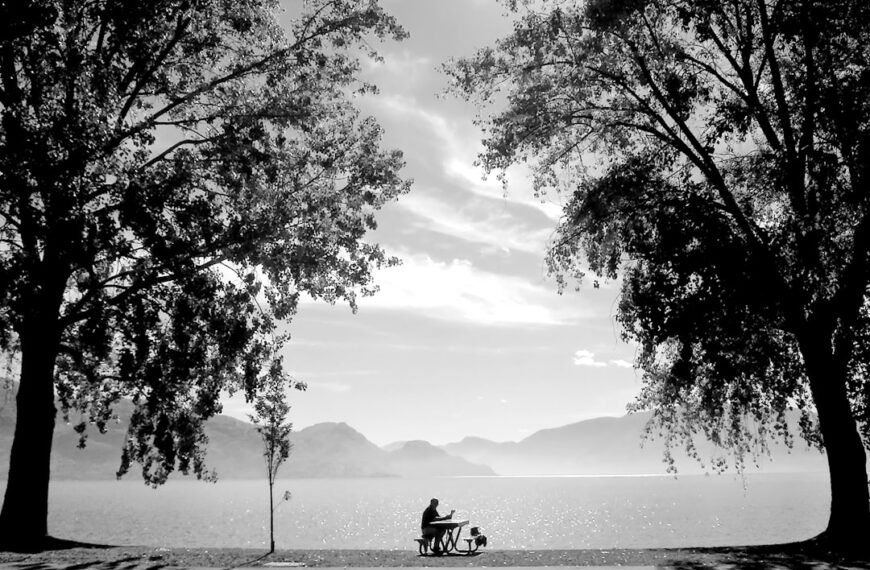 The Sweet Spot of Enough: Finding Contentment in a World Obsessed with More