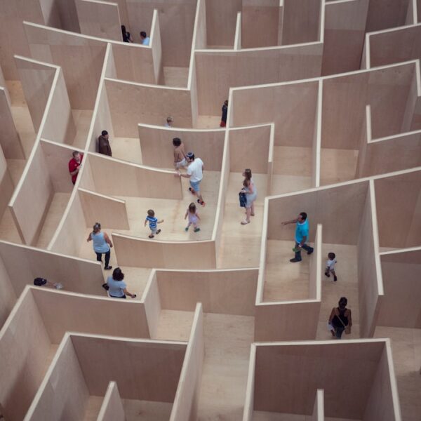 Lost in the Maze, Finding Your Way: A…