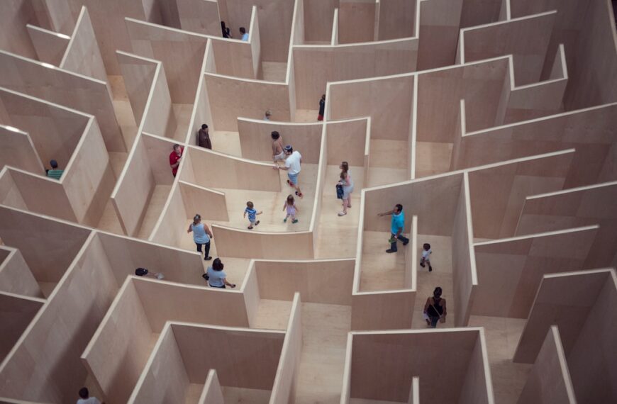 Lost in the Maze, Finding Your Way: A Guide to Life’s Uncertainties