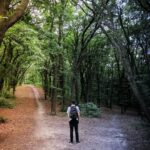 Mastering the Art of Decision-Making: A Practical Guide