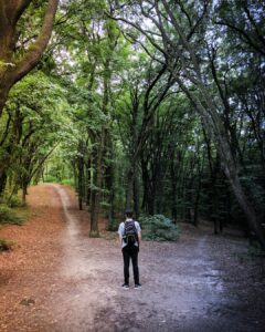 Mastering the Art of Decision-Making: A Practical Guide