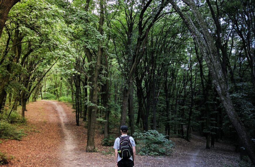 Mastering the Art of Decision-Making: A Practical Guide